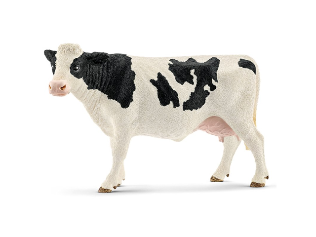 Holstein-Kuh