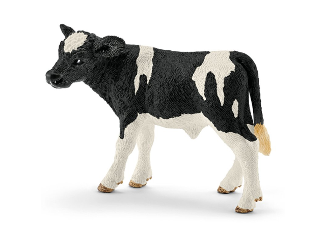 Holstein-Kalb