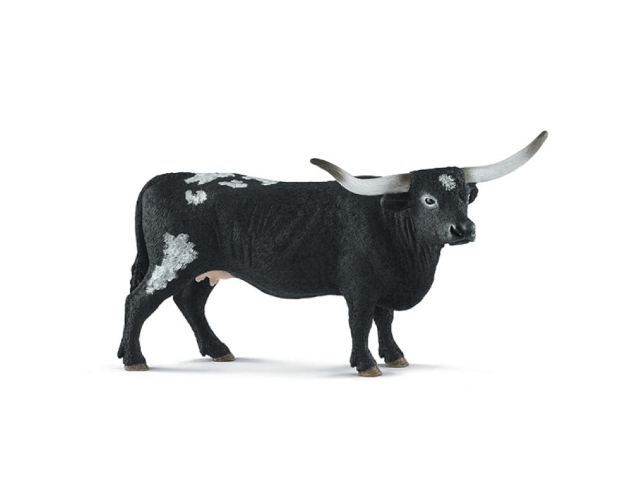 Texas Longhorn Kuh