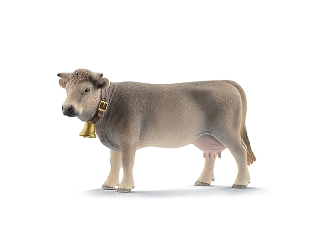 Braunvieh Kuh