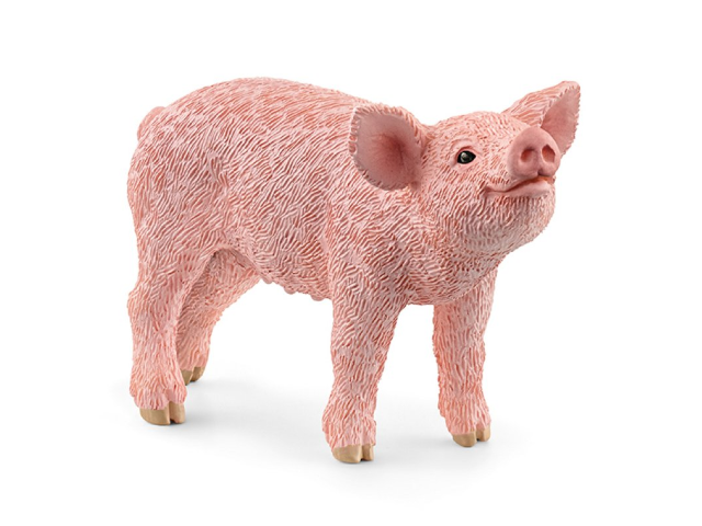 Ferkel