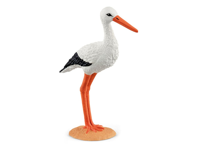 Storch