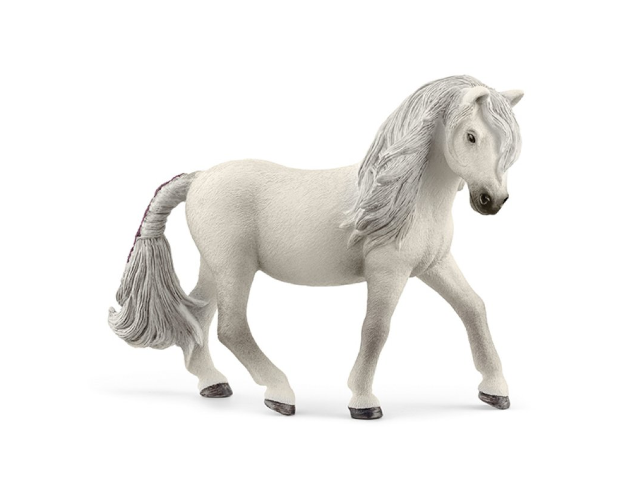 Islandpony Stute