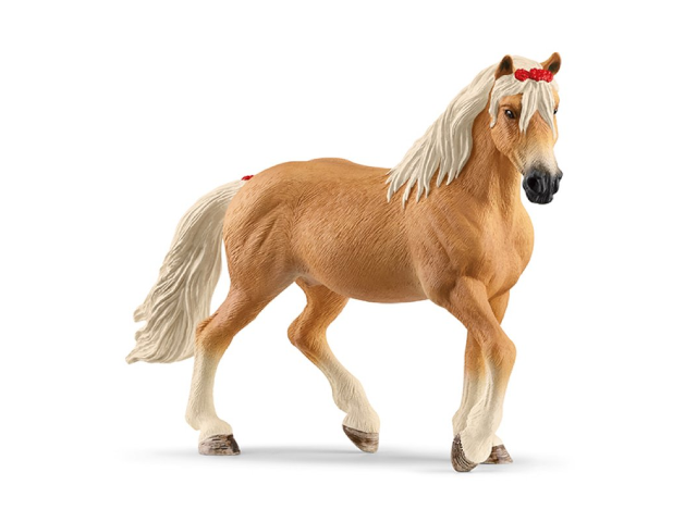 Haflinger Stute