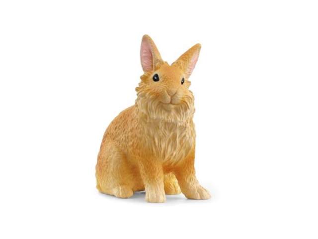 Löwenkopfkaninchen