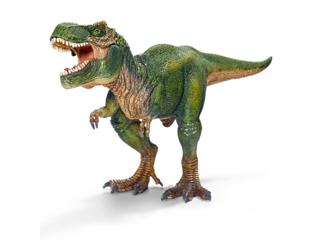 Tyrannosaurus Rex