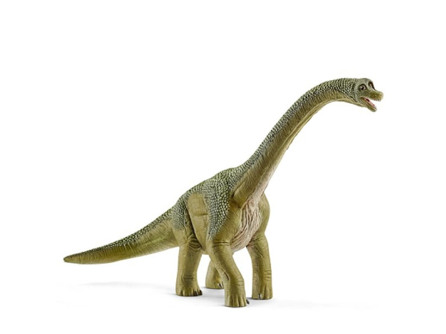 Brachiosaurus