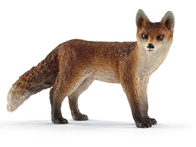 Fuchs