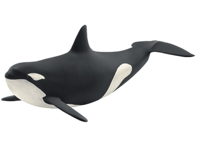 Orka
