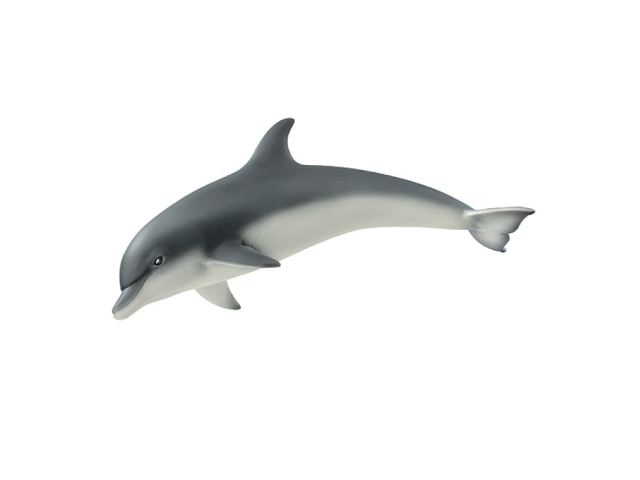 Delfin