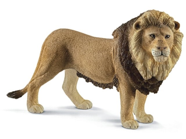 Löwe