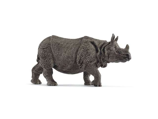 Panzernashorn