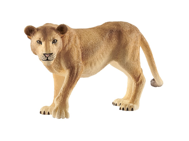 Löwin