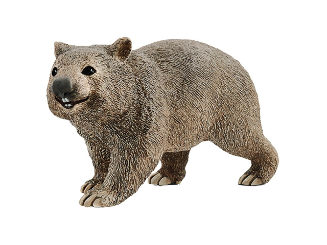 Wombat