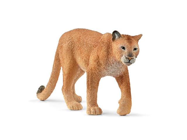 Puma