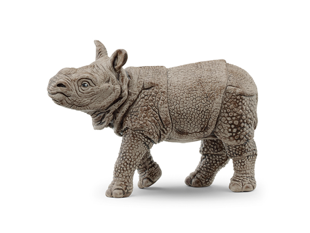 Panzernashorn Baby