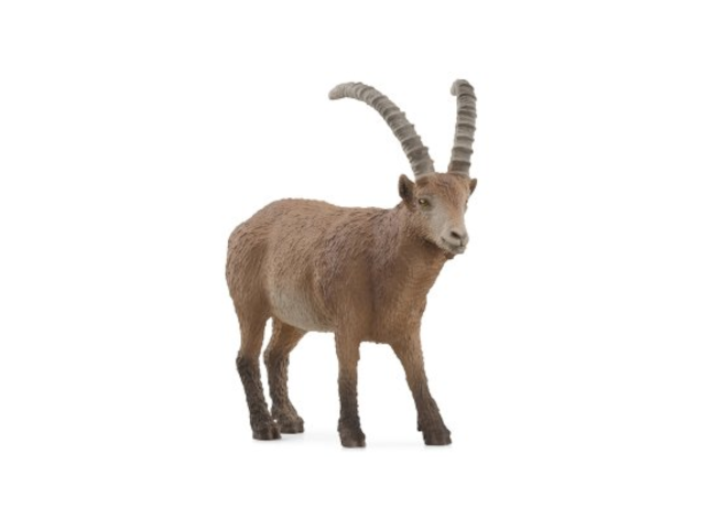 Steinbock