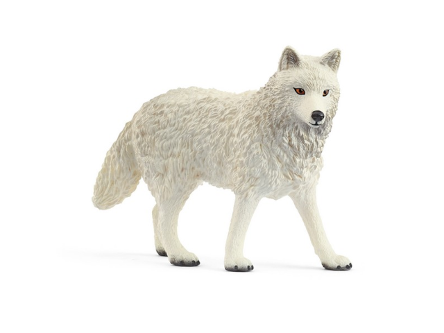 Polarwolf