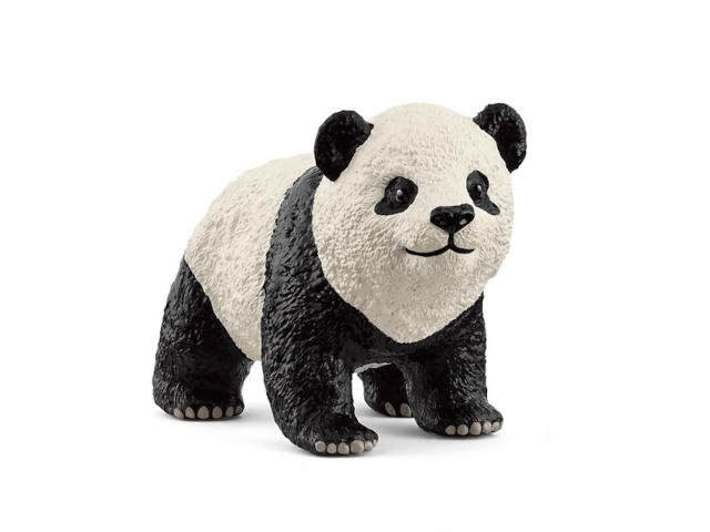 Grosser Panda Junges