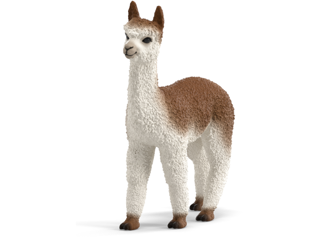 Alpaka