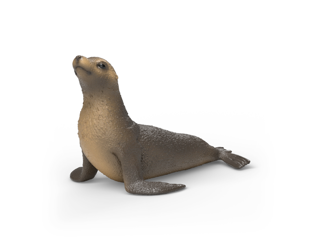 Seelöwe