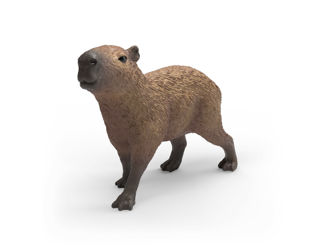 Capybara