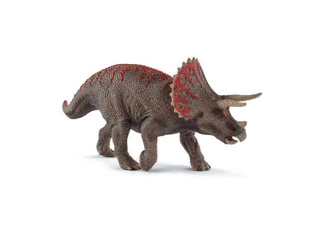 Triceratops