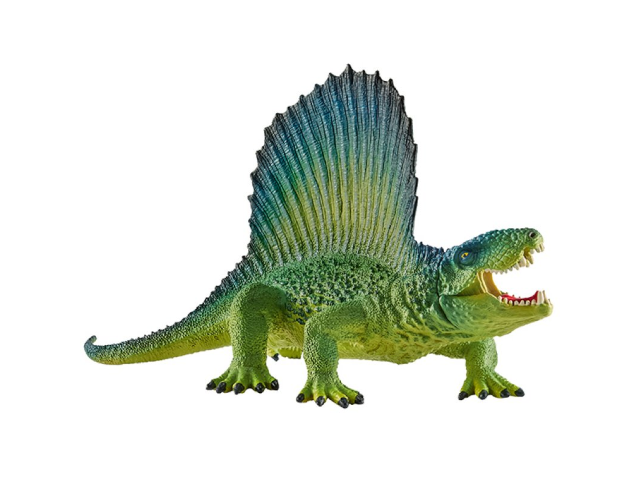 Dimetrodon
