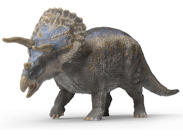 Triceratops