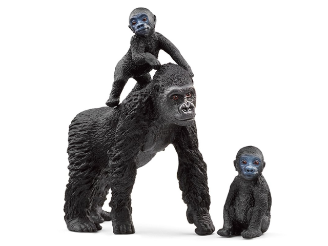 Flachland Gorilla Familie