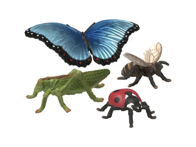 Insekten Entdecker Set