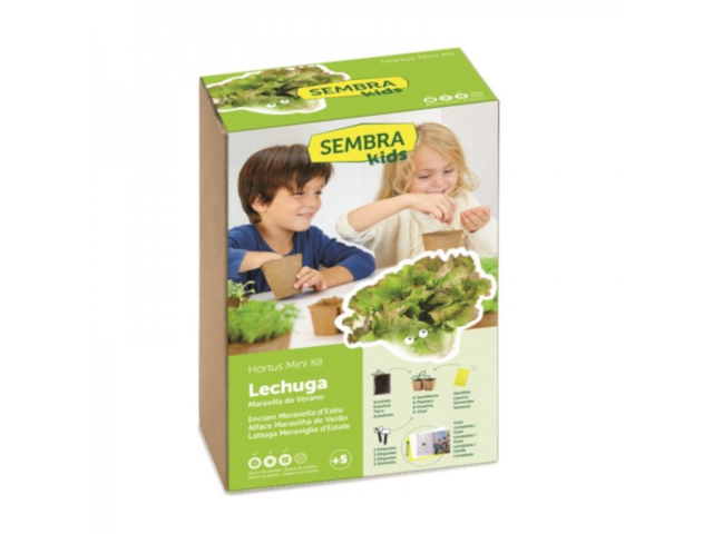 Gärtnerset für Kinder - Kopfsalat