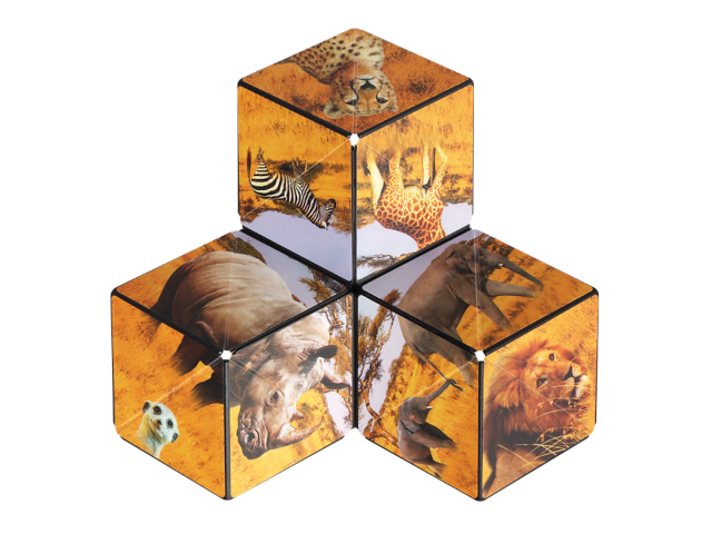 Shashibo Cube Savanna - 0