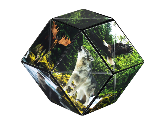 Shashibo Cube Forest - 0