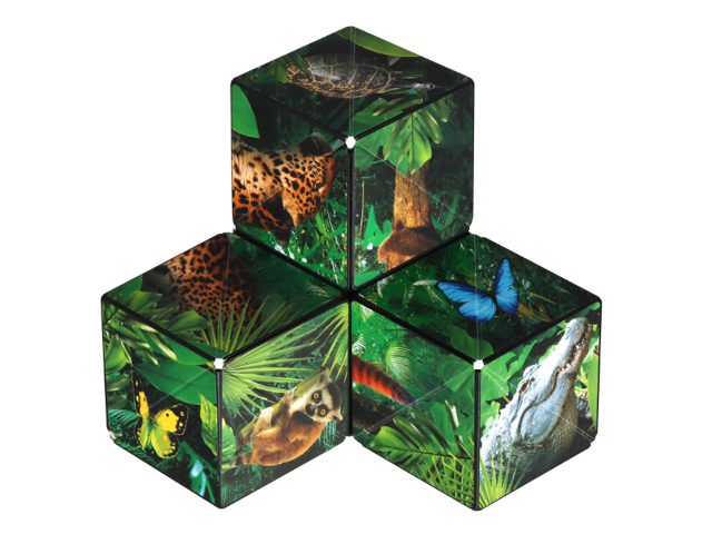 Shashibo Cube Jungle - 0