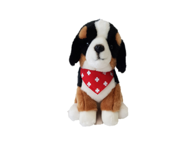 Sennenhund 25cm mit Halstuch Swiss