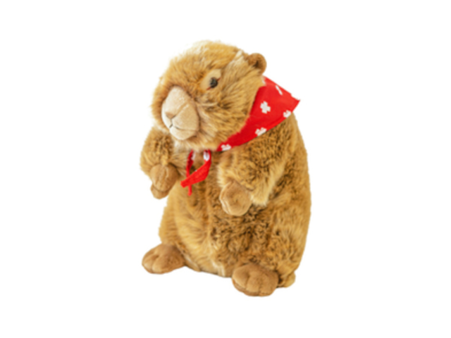 Murmeltier 25cm mit Halstuch Swiss