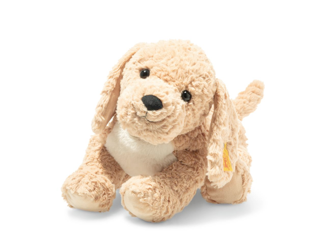 Berno Goldendoodle beige