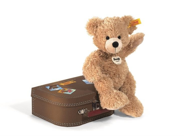 Fynn Teddybär im Koffer