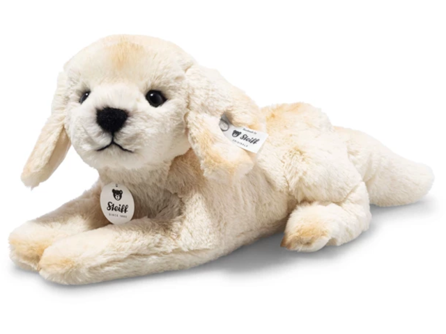 Lenny Labrador blond liegend