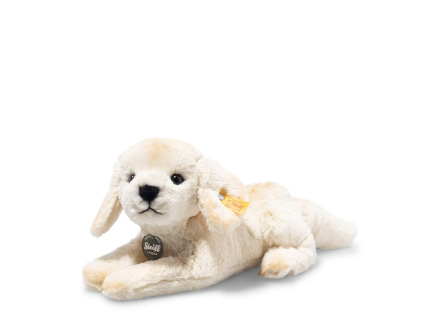 Lenny Labrador blond liegend