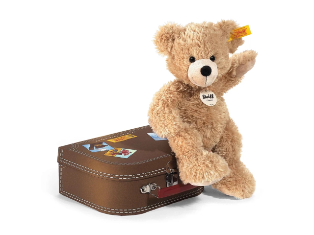 Fynn Teddybär im Koffer