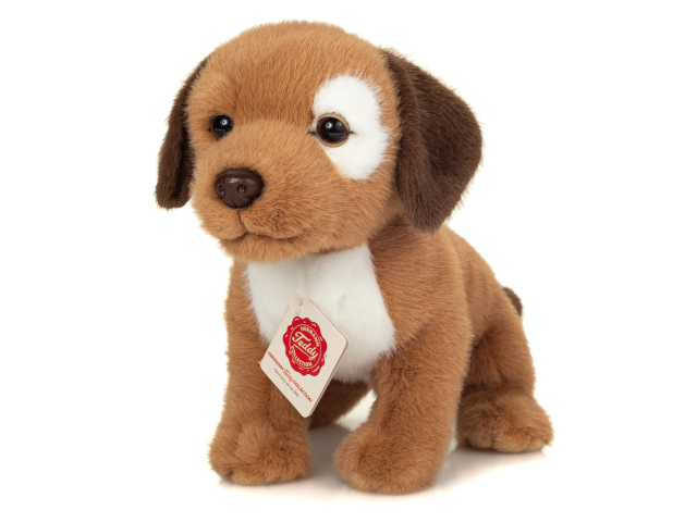 Hundewelpe Milow 25cm
