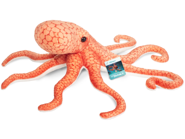 Oktopus 36cm
