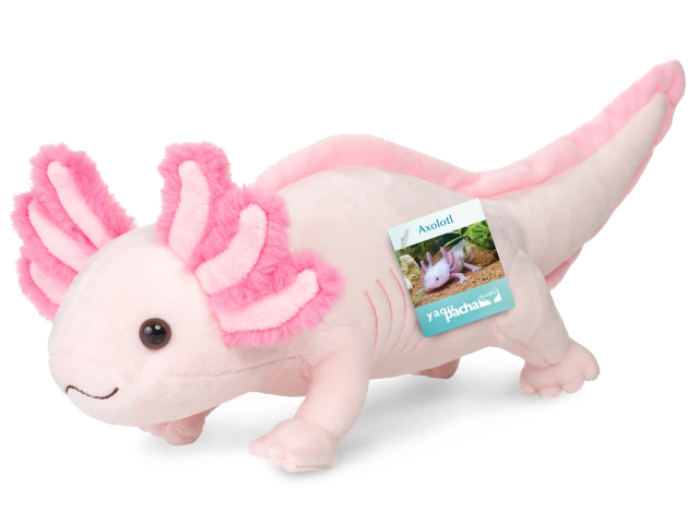 Axolotl 36cm