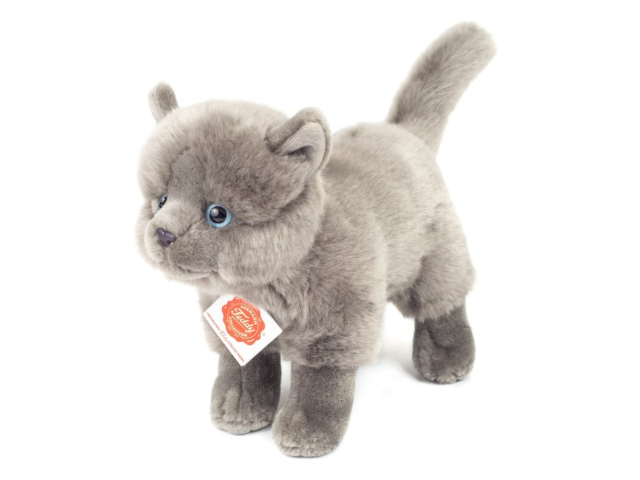 Kartäuserkatze stehend 20 cm