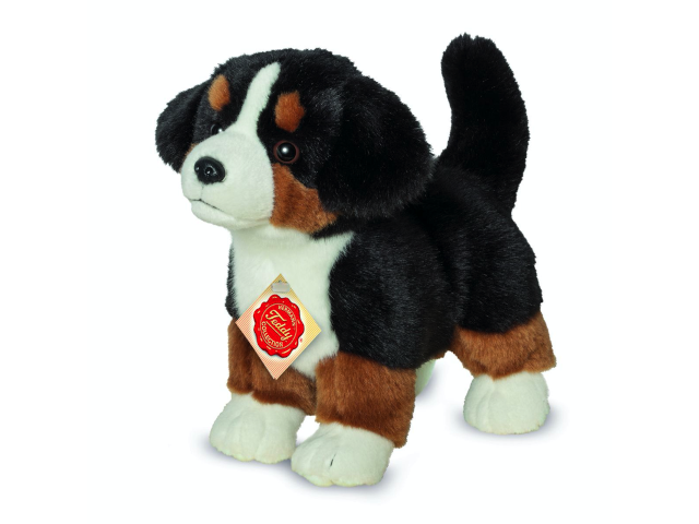 Berner Sennenhund Welpe stehend 23 cm