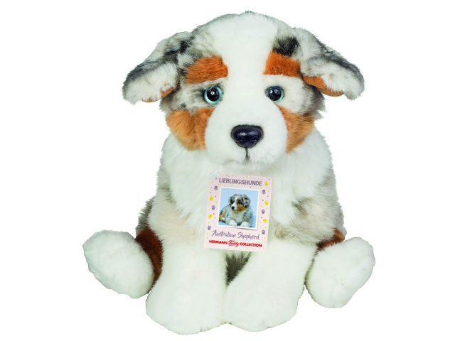 Australian Shepherd Welpe sitzend 22 cm