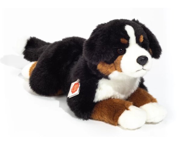 Berner Sennenhund liegend 40cm