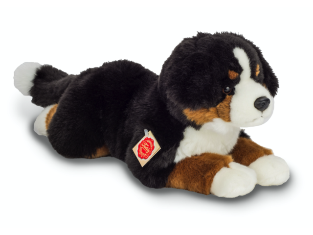 Berner Sennenhund liegend 40cm